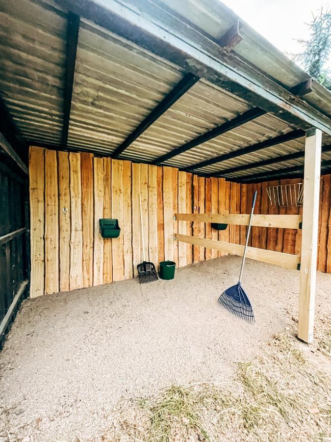 Wunderschoenes Chalet Mit Gaestehaus In Der Natur Mit Fass-Sauna Sangerhausen Exterior foto