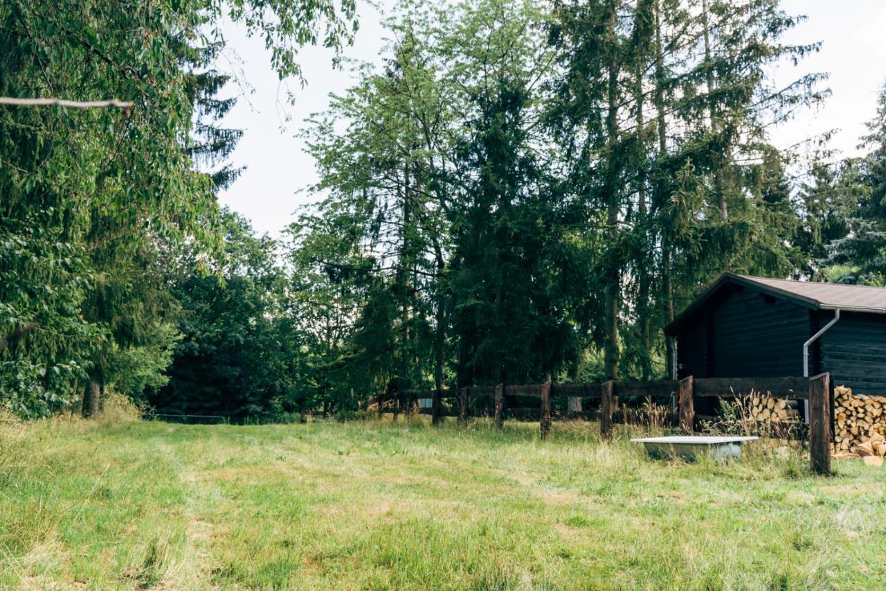 Wunderschoenes Chalet Mit Gaestehaus In Der Natur Mit Fass-Sauna Sangerhausen Exterior foto