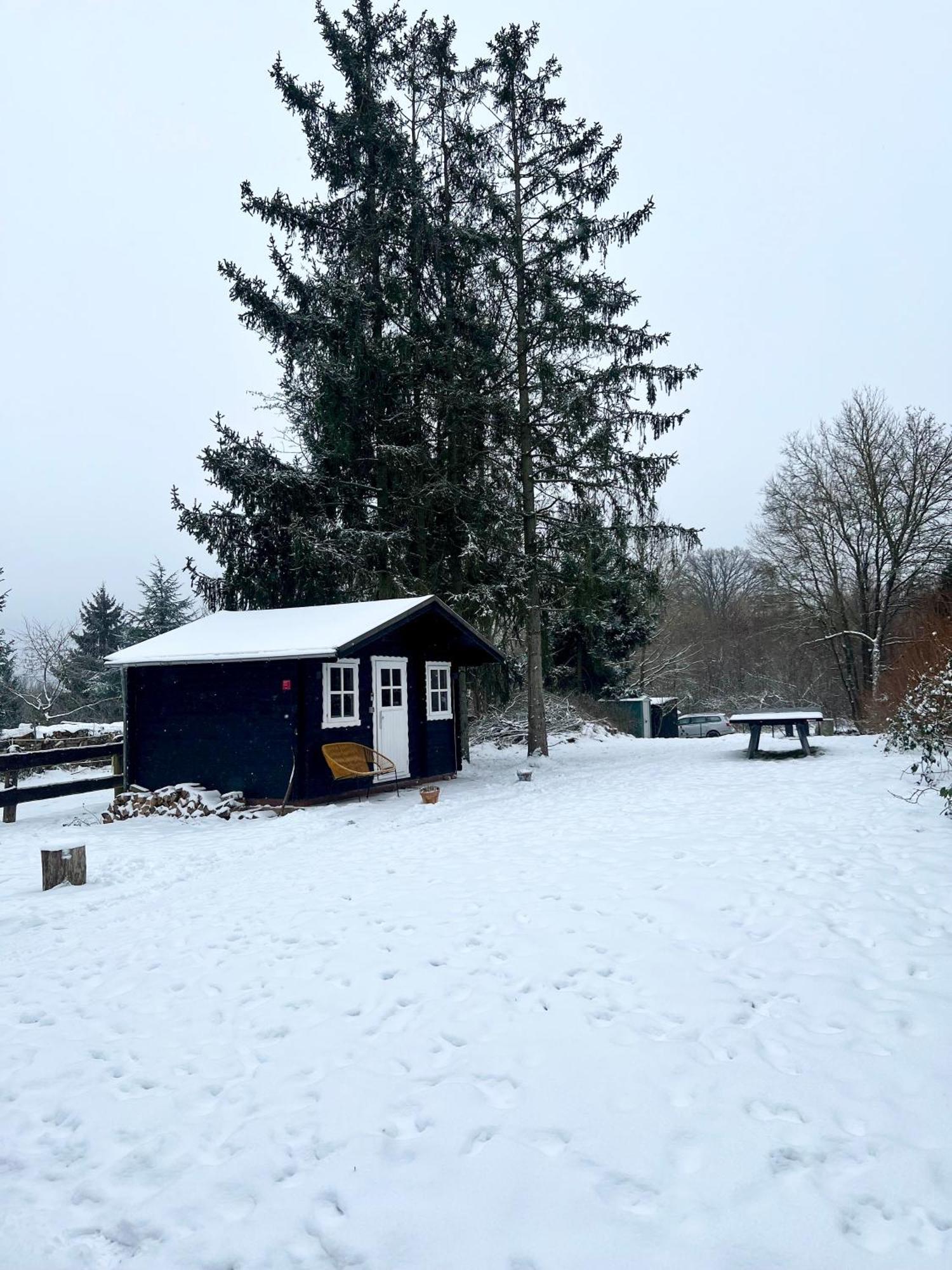 Wunderschoenes Chalet Mit Gaestehaus In Der Natur Mit Fass-Sauna Sangerhausen Exterior foto